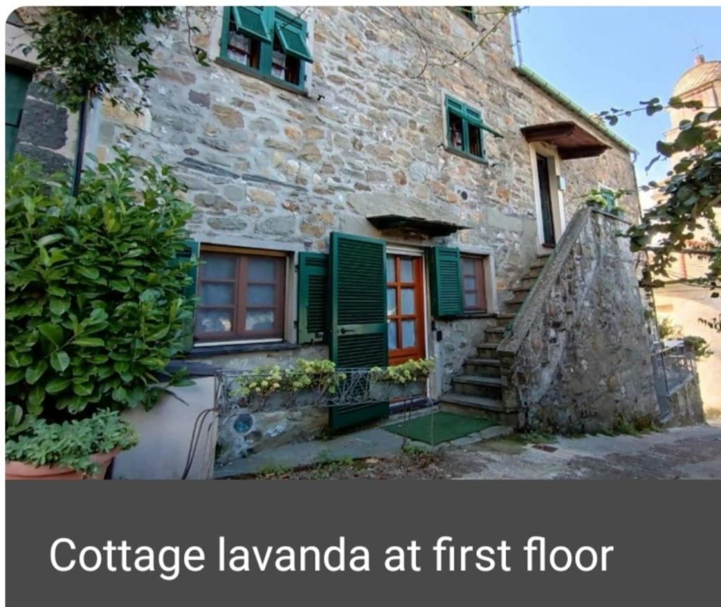 Cottage Lavanda Levanto Room photo